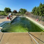 FB_IMG_1777407958047